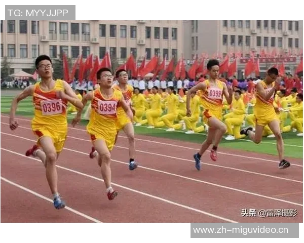 陈强的排球人生深度对话探索运动背后的坚持与梦想
